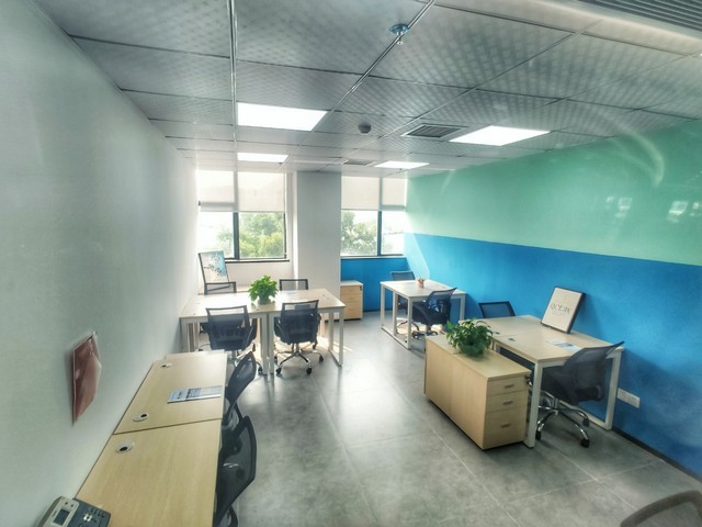 辽宁猫生罐养猫粮官网