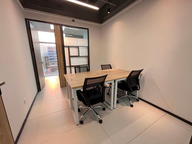 石家庄水果苗新品种树有哪些品种